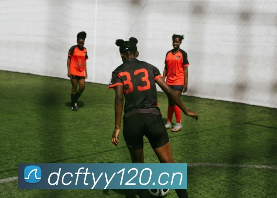 米兰体育官网登陆平台生态图